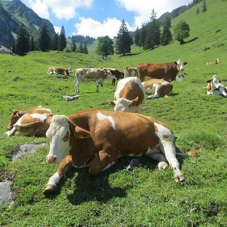 Hoehenstein * Schleching